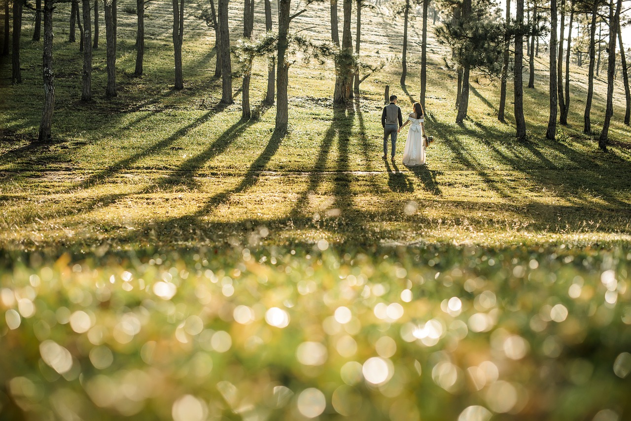 How to Incorporate Green Energy into your Wedding Plans